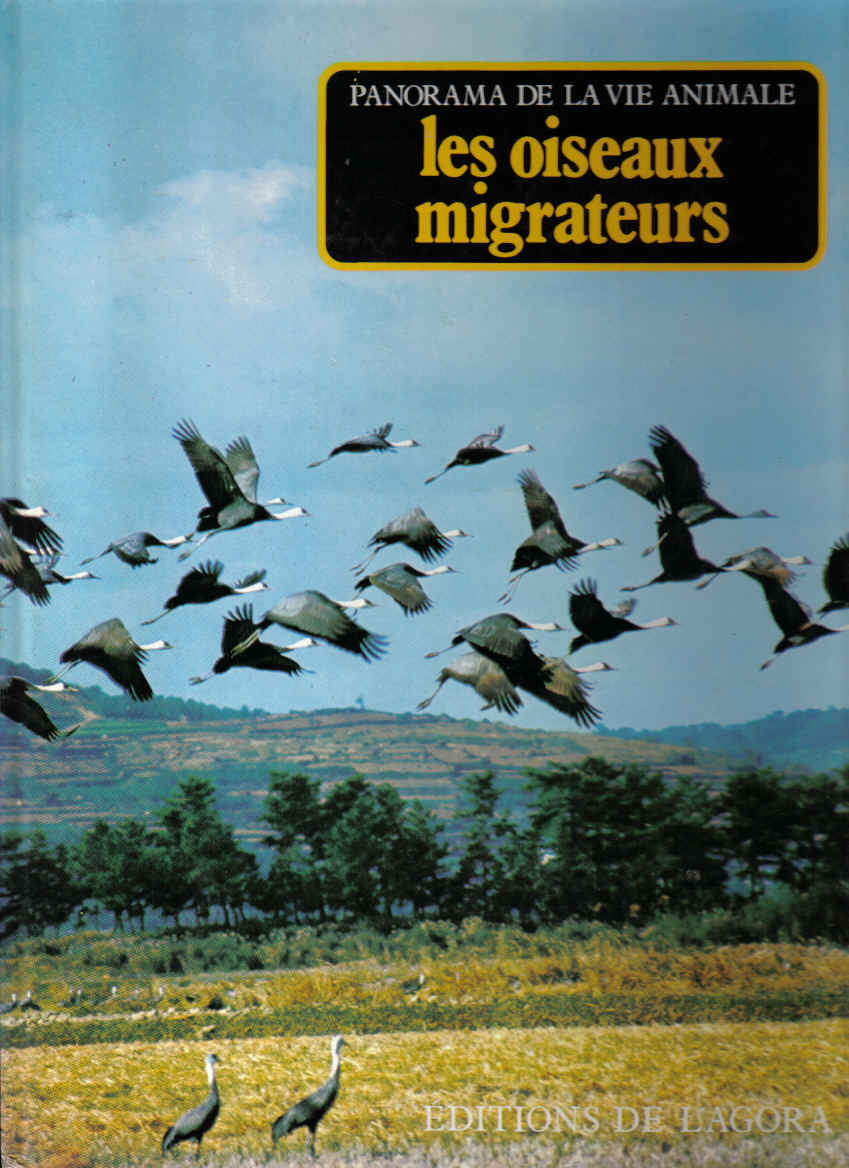 oiseaux_migrateurs